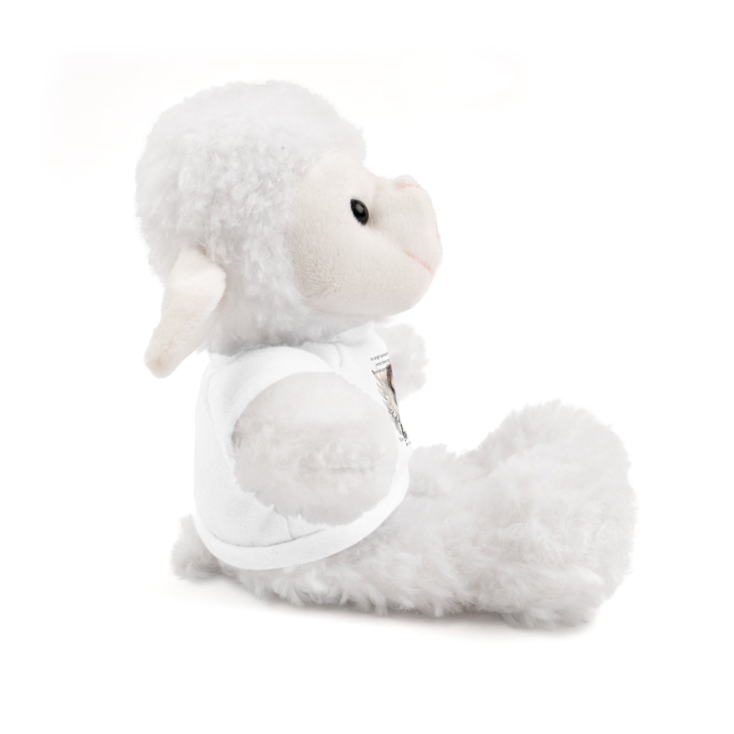 Infant Memorial Stuffed Animals with Tee