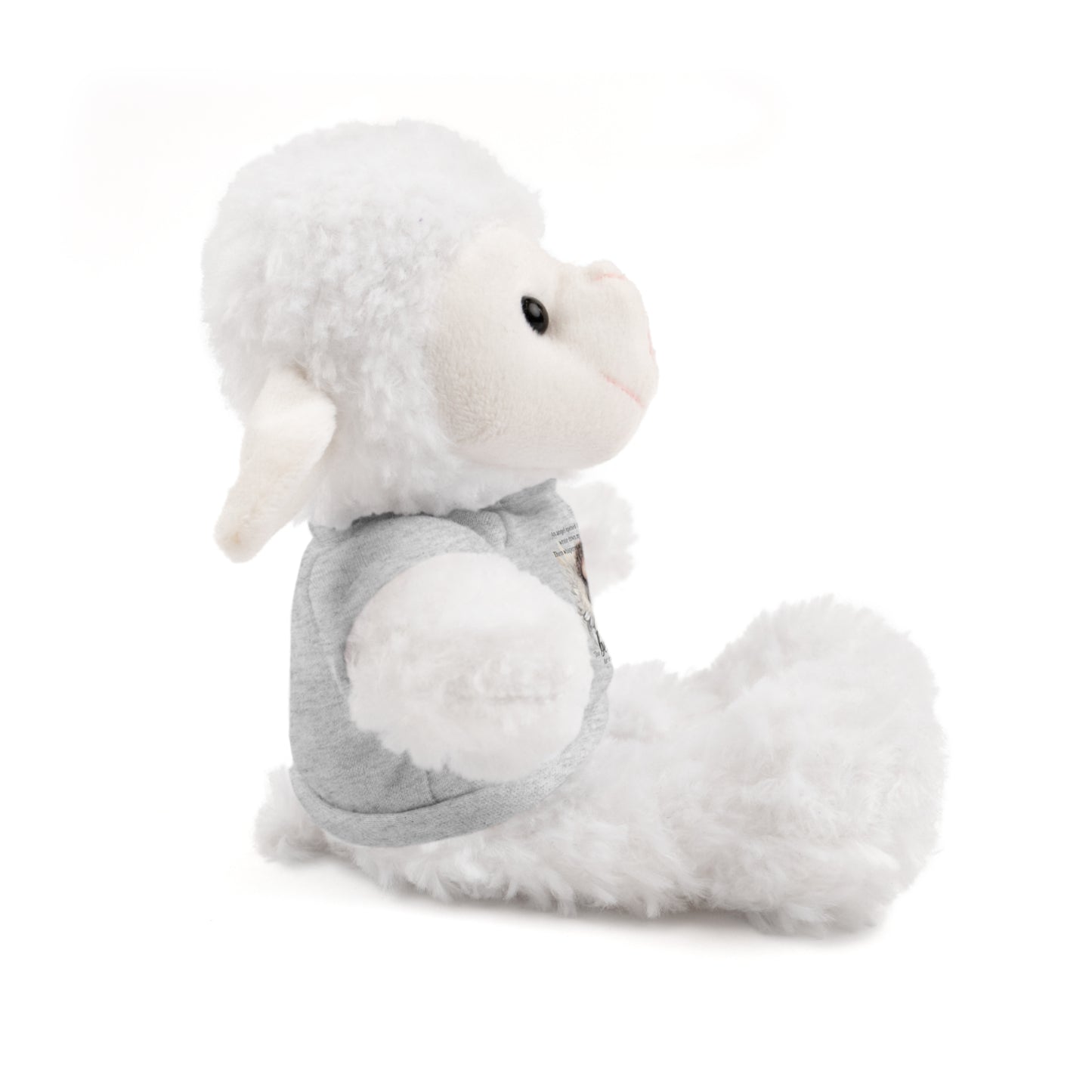 Infant Memorial Stuffed Animals with Tee